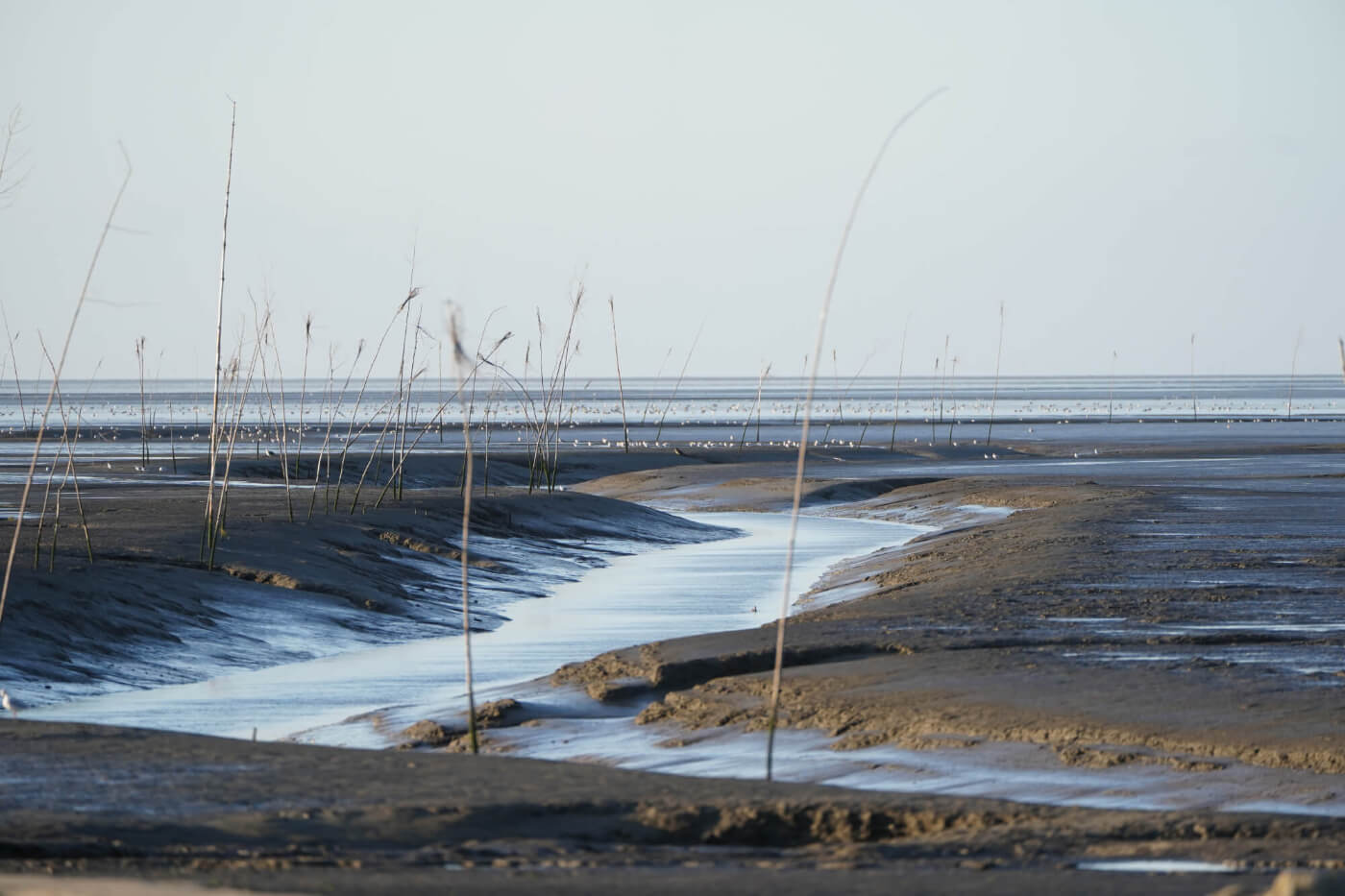 Dorum Neufeld Havenausfahrt